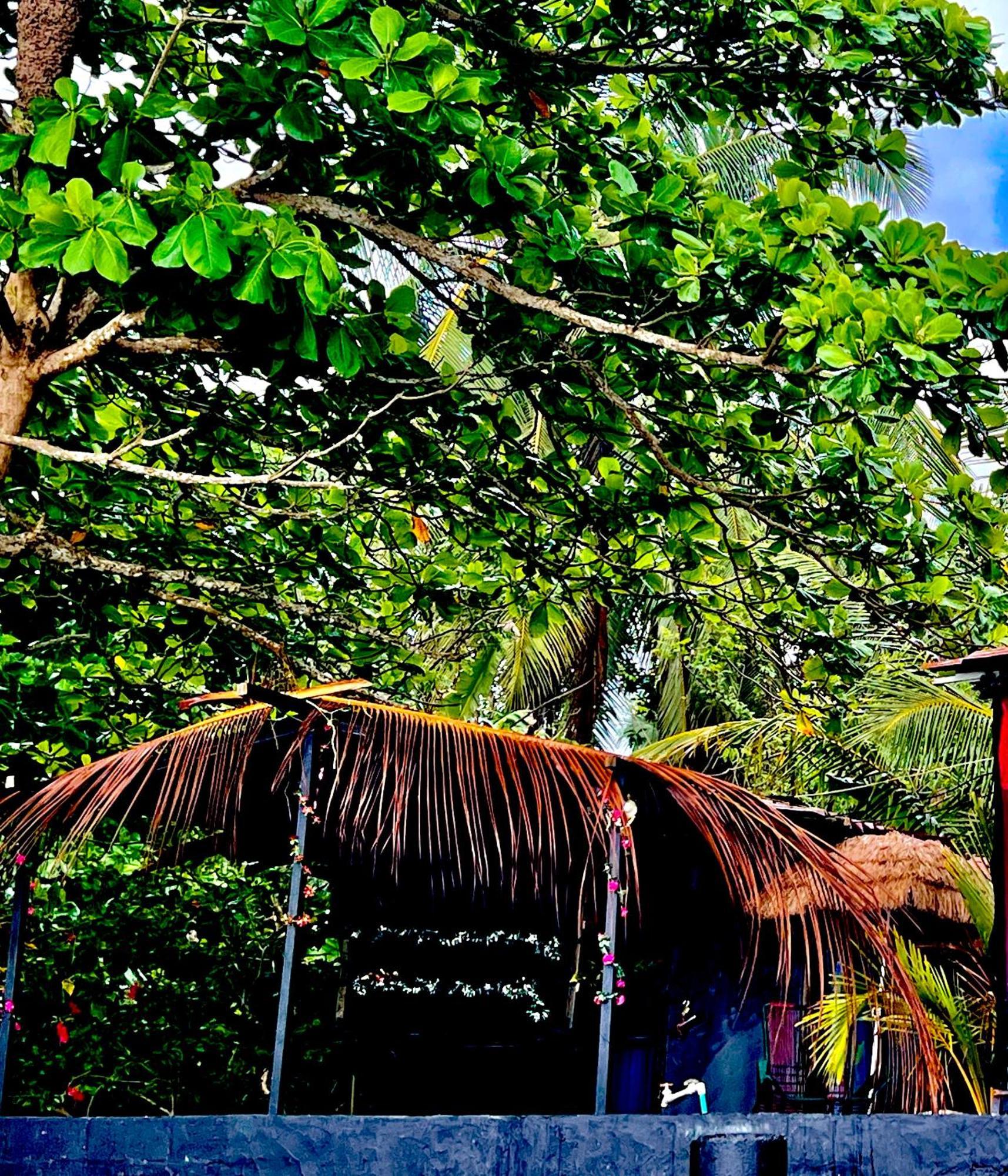 Beachfront Paradise Manuel Antonio Exterior photo