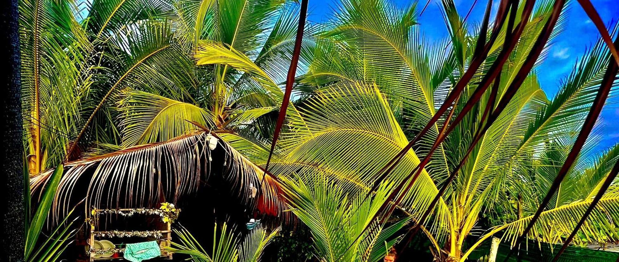 Beachfront Paradise Manuel Antonio Exterior photo