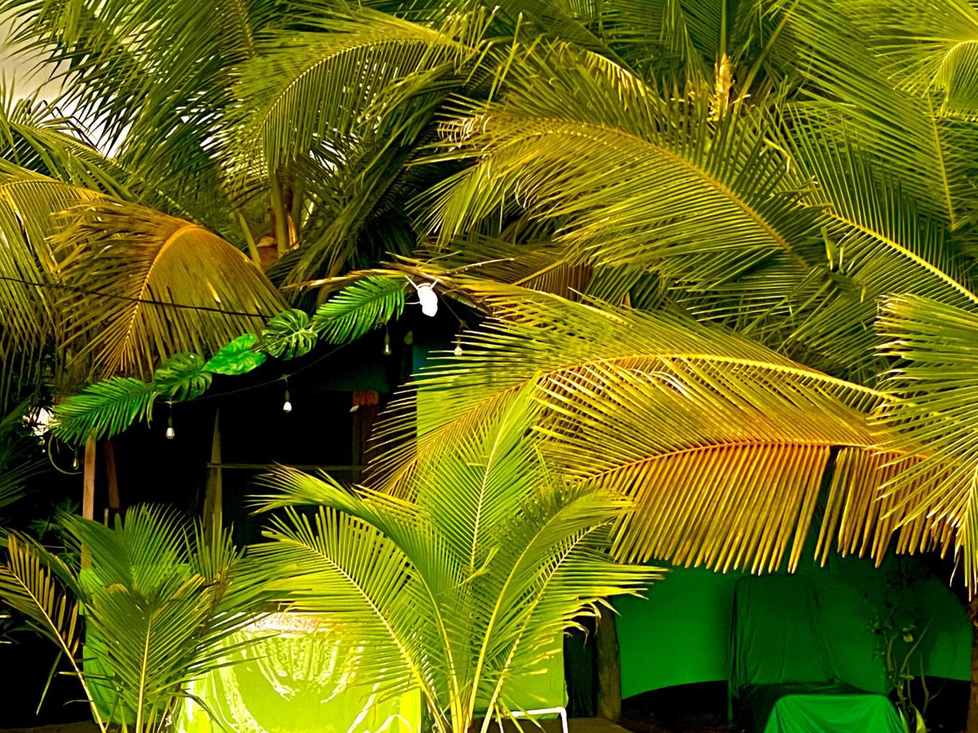 Beachfront Paradise Manuel Antonio Exterior photo